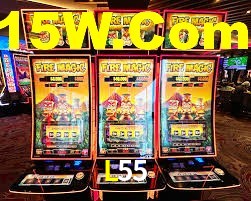 Premium Interface L55